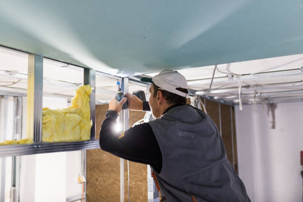 Best Insulation Maintenance and Repair in Oakwood, IL