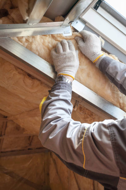 Best Spray Foam Insulation in Oakwood, IL
