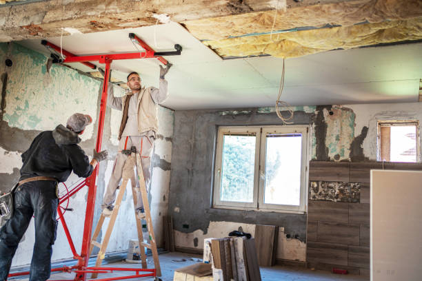 Best Spray Foam Insulation in Oakwood, IL