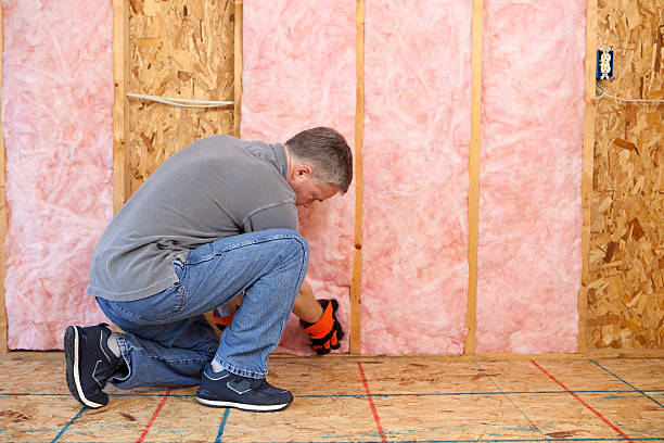 Best Geographic-Specific Insulation Services in Oakwood, IL
