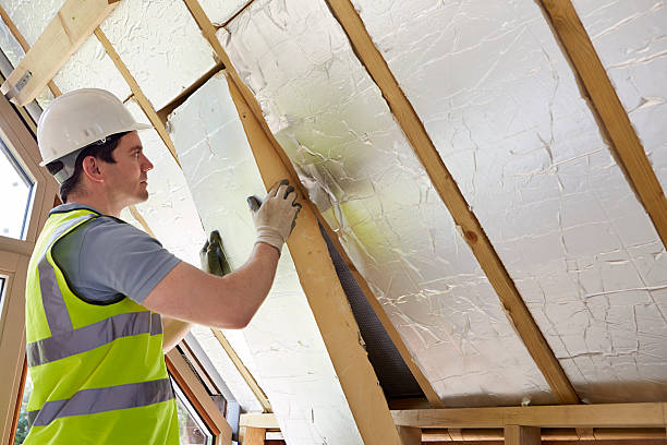 Best Insulation Maintenance and Repair in Oakwood, IL